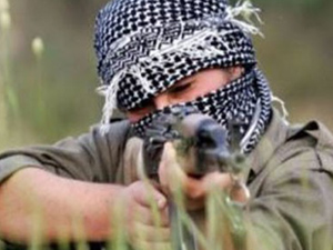 PKK bu 4 ilimizden tamamen çekilecek