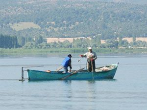 Beyşehir Gölü'nde gümüş balığı azaldı