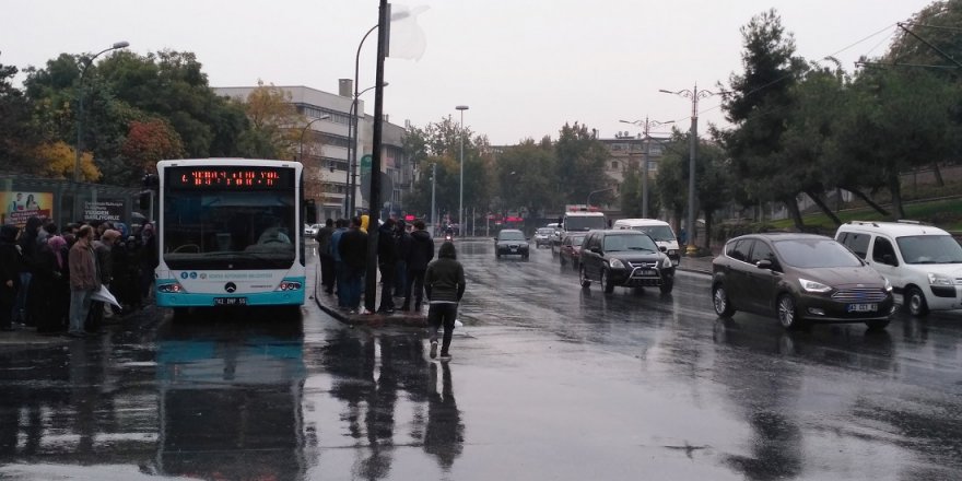 Yağmur bereketi Konya'yı sardı