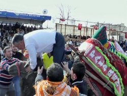 AK Partili başkan deveden düştü!
