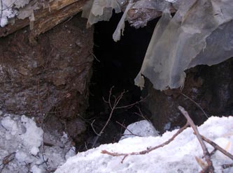 Kandırdıkları gençlere ''kurbanlık'' gözüyle bakıyorlar