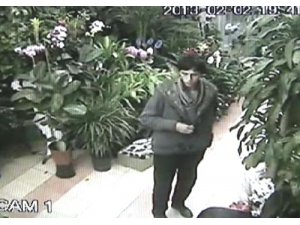 Çiçekçideki yardım kutusunu çaldı