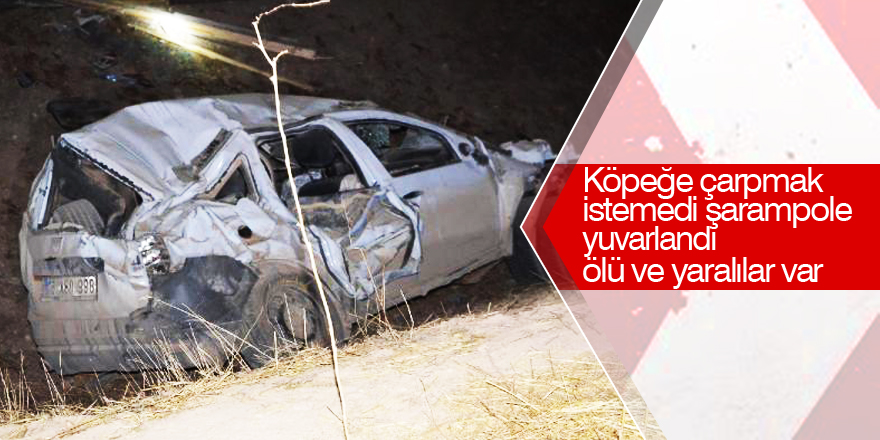 Köpeğe çarpmamak için direksiyonu kırdı 1 kişi öldü