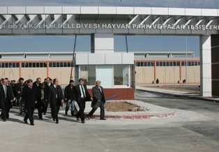 Avrupa'nın en modern hayvan pazarı