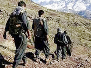 PKK’nın yıllık geliri ne kadar?