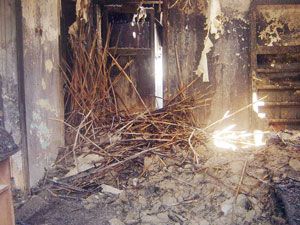 Evinde uyurken yanarak can verdi