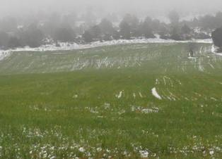 Ovadaki büyük tehlike!