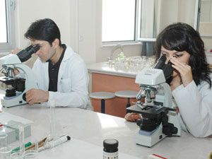 2 bin akademisyen yurt dışına gönderildi