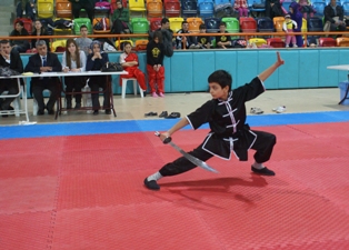 Wushu Türkiye Şampiyonası seçmeleri Konya'da başladı