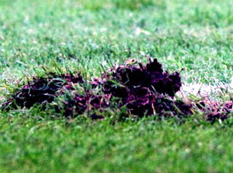 Galatasaray'ı durduran rakip mi?