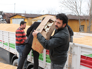 Mısır yüklü 2 tır’dan 45 bin paket kaçak sigara çıktı