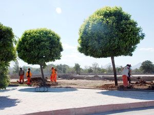Samanpazarı Parkı adım adım tüketiliyor