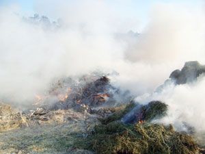 Samanlıkta çıkan yangın evlere sıçradı: 1 kişi zehirlendi