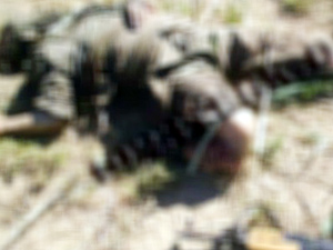 PKK'lının ağabeyinden şok sözler!