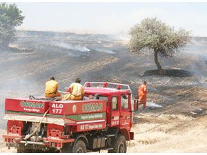 Anız yangını az kalsın ormana sıçrayacaktı