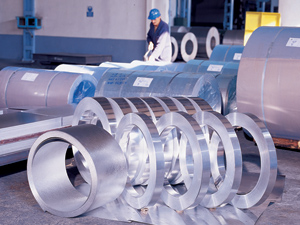 Mart, batak ayı olabilir