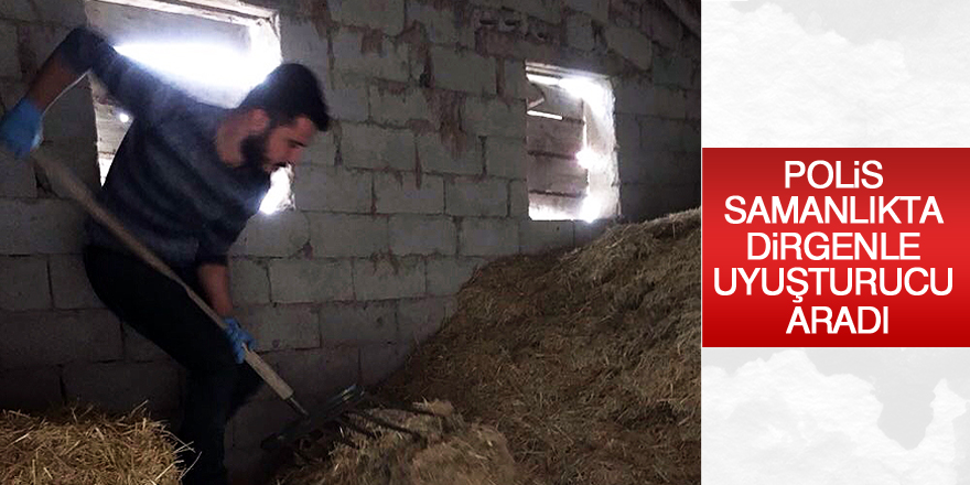 Polis samanlıkta dirgenle uyuşturucu aradı