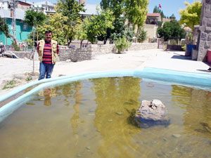 Beyşehir Gölü’nde tükenmeye yüz tutan balıkları evinin havuzunda yetiştiriyor