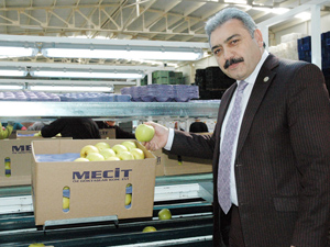 40 bin ton elma soğuk hava deposunda bekliyor