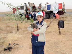 Konya’da kişi başına ne kadar orman düşüyor?