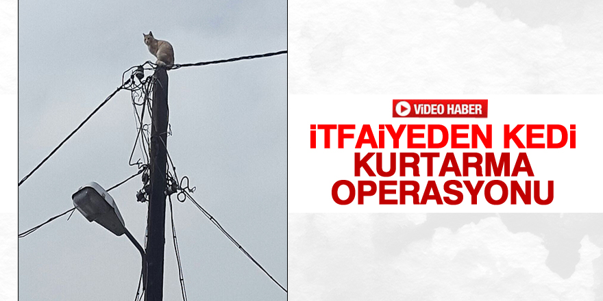 İtfaiyeden kedi kurtarma operasyonu