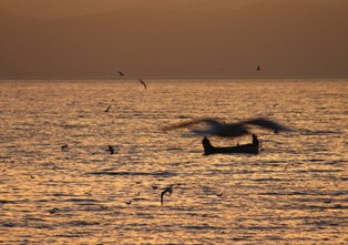 En büyük tatlı su gölünde su seviyesi yükseldi