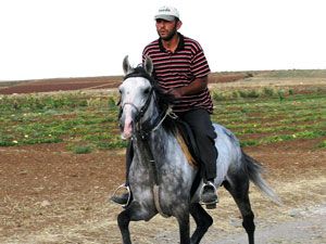 Rahvan At Yarışları’nda Konya başarılı