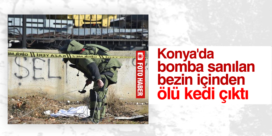 Konya'da bomba sanılan bezin içinden ölü kedi çıktı