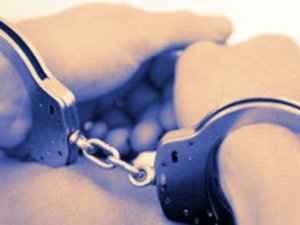 Cinayet zanlısı 12 yıl ceza aldı