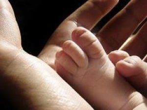 Babalara da süt izni geliyor