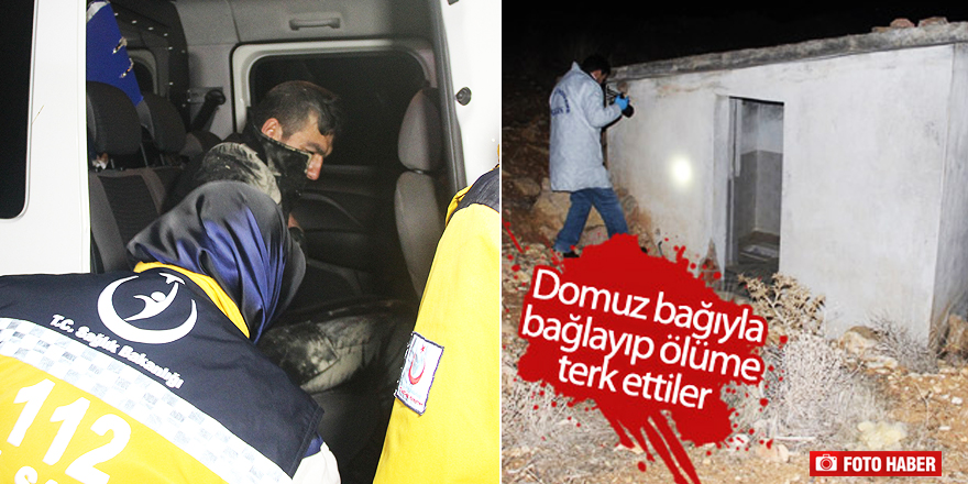 Domuz bağı yöntemiyle bağlanarak ölüme terk edildi