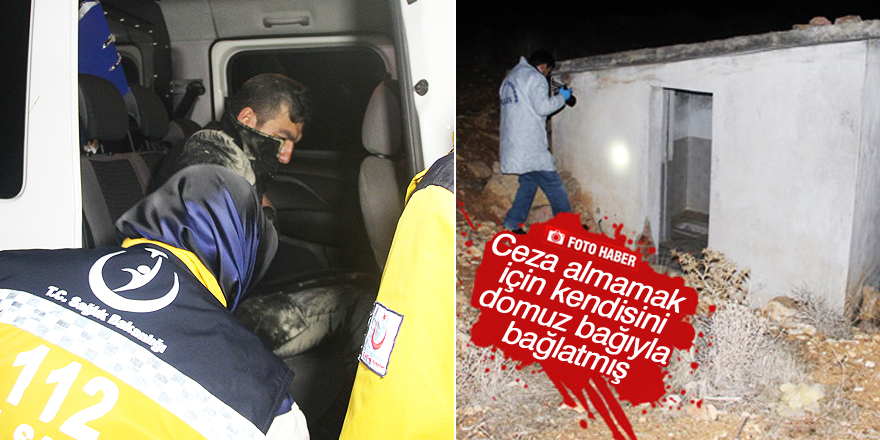 Ceza almamak için kendisini domuz bağıyla bağlatmış