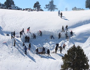Kışın depolayıp yazın kar yiyorlar