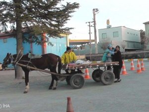Ambulans yerine at arabasıyla taşıdı