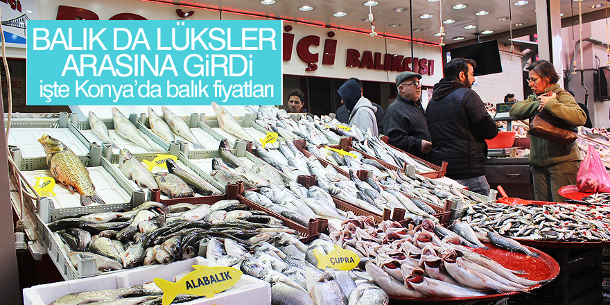 Balık da lüksler arasına girdi