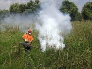 Beyşehir'de sinekle mücadele