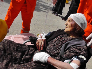 Çoban köpekleri yaşlı kadının kulağını kopardı