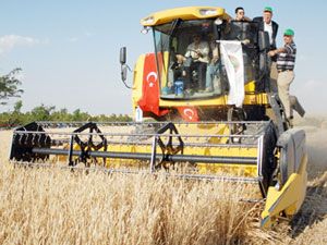Hububat rekoltesi 1 milyon ton arttı