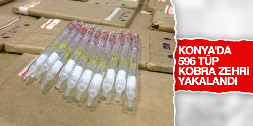 6 milyon lira değerinde kobra zehri yakalandı