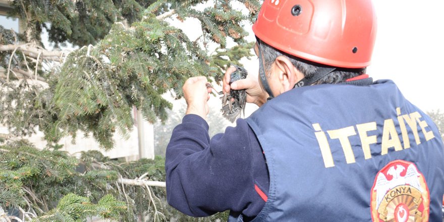 Ayağına ip dolanan kuşu itfaiye kurtardı