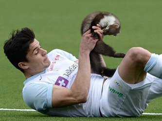 Sansar sahaya girdi futbolcuyu ısırdı!