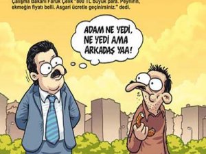 '800 TL büyük para'  Penguen'de