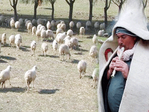 Üniversiteli çobanlar geliyor