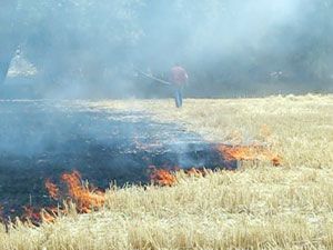 Yanan römorku boşaltınca tarlayı yaktı