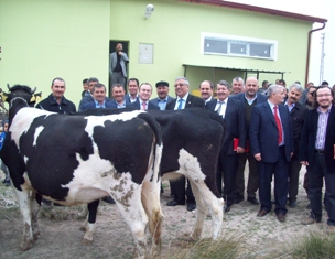 Karapınar'da gebe düve dağıtımı yapıldı