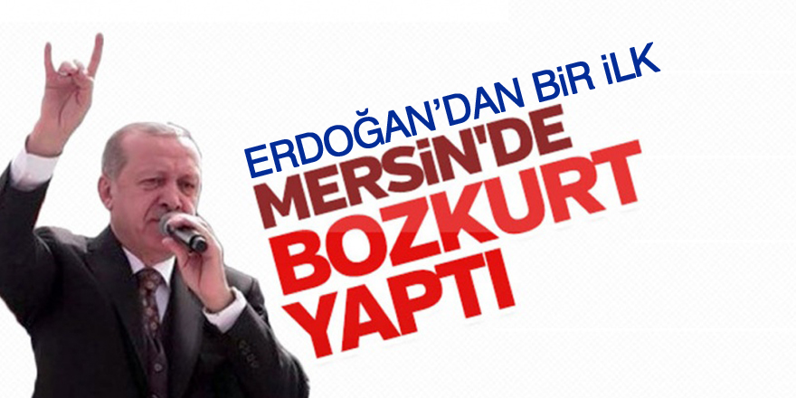 Erdoğan’dan ‘bozkurt’ işareti