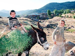 Köye dönüş başladı