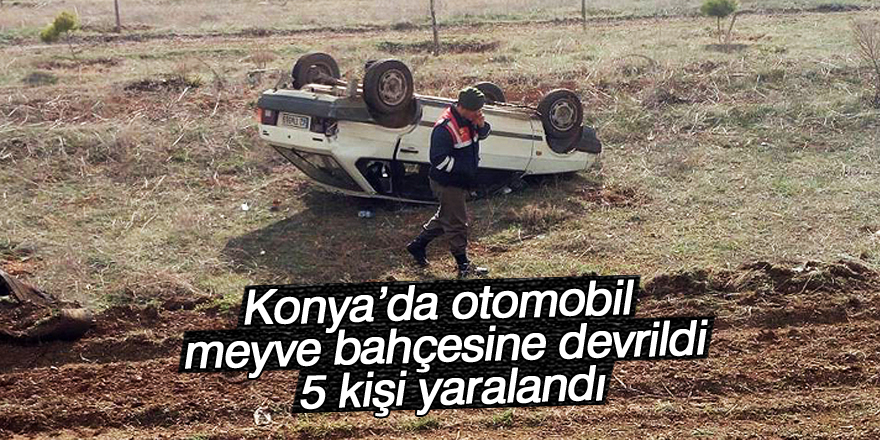 Konya’da otomobil meyve bahçesine devrildi: 5 yaralı