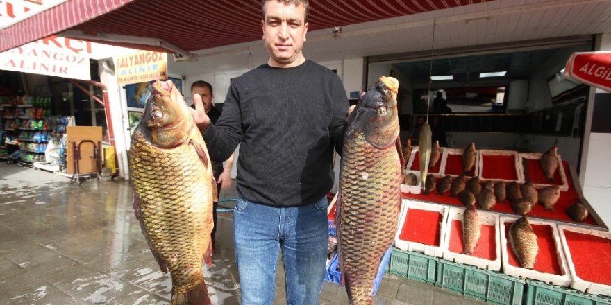 Beyşehir’de baraj balıkları tezgahtaki yerlerini aldı
