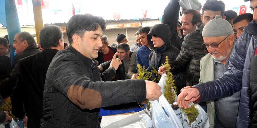 Seydişehir'de 9 bin fidan dağıtıldı
